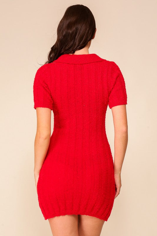 Textured Knit Polo Sweater Dress (Short Sleeve Mini | Red)